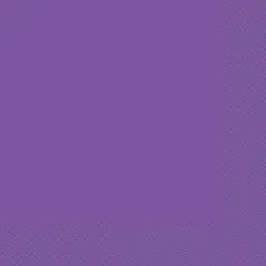 Neon Purple Beverage Napkins, 20ct