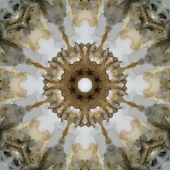 Kaleidoscope Honey Gray Poster Print by Nan - Item # VARPDX18779