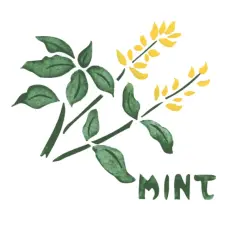 Mint Wall Stencil | 2183 by Designer Stencils | Word & Phrase Stencils | Reusable Art Craft Stencils for Painting on Walls, Canvas, Wood | Reusable Plastic Paint Stencil for Home Makeover | Easy to Use & Clean Art Stencil