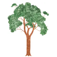 Straight Tree Leaf Wall Stencil | 1224 by Designer Stencils | Animal & Nature Stencils | Reusable Art Craft Stencils for Painting on Walls, Canvas, Wood | Reusable Plastic Paint Stencil for Home Makeover | Easy to Use & Clean Art Stencil