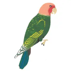 Small Parrot Wall Stencil | 2450 by Designer Stencils | Animal & Nature Stencils | Reusable Art Craft Stencils for Painting on Walls, Canvas, Wood | Reusable Plastic Paint Stencil for Home Makeover | Easy to Use & Clean Art Stencil