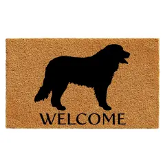 105701729 Bernese Mountain Dog Doormat
