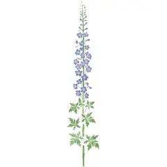 Small Delphinium Wall Stencil | 1595 by Designer Stencils | Floral Stencils | Reusable Art Craft Stencils for Painting on Walls, Canvas, Wood | Reusable Plastic Paint Stencil for Home Makeover | Easy to Use & Clean Art Stencil