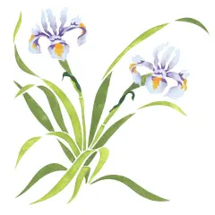 Iris Flower Wall Stencil | 1944 by Designer Stencils | Floral Stencils | Reusable Art Craft Stencils for Painting on Walls, Canvas, Wood | Reusable Plastic Paint Stencil for Home Makeover | Easy to Use & Clean Art Stencil