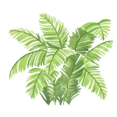 Palm Shrub Wall Stencil | 1738 by Designer Stencils | Animal & Nature Stencils | Reusable Art Craft Stencils for Painting on Walls, Canvas, Wood | Reusable Plastic Paint Stencil for Home Makeover | Easy to Use & Clean Art Stencil