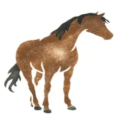 Single Horse Wall Stencil | 1176 by Designer Stencils | Animal & Nature Stencils | Reusable Art Craft Stencils for Painting on Walls, Canvas, Wood | Reusable Plastic Paint Stencil for Home Makeover | Easy to Use & Clean Art Stencil
