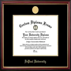 DePaul University Petite Diploma Frame