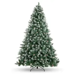 Perfect Holiday Frosted Oregon Fir with Snow Dusted Pine Cones