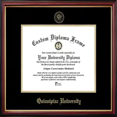 Quinnipiac University Petite Diploma Frame