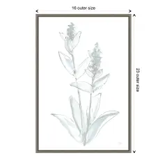 Lambs Ear Sage IV Bleached by Chris Paschke Canvas Wall Art Print Framed Grey