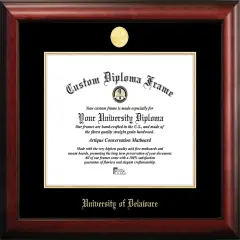 University of Delaware16w x 12h Gold Embossed Diploma Frame