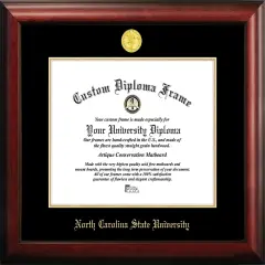 North Carolina State University 14w x 11h Gold Embossed Diploma Frame