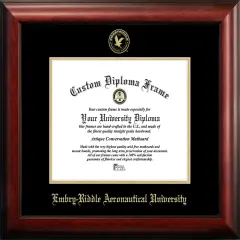 Embry-Riddle Eagles 11wx 8.5h Gold Embossed Diploma Frame