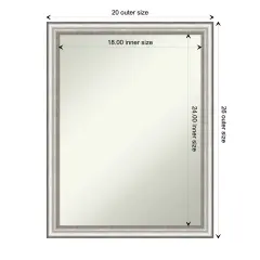 Amanti Art Non-Beveled Wall Mirror, Salon Silver Narrow Frame