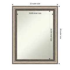 Amanti Art Non-Beveled Wall Mirror, Lyla Ornate Silver Frame