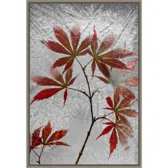 red maple by Secundino Losada 16-in. W x 23-in. H. Canvas Wall Art Print Framed in Grey