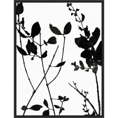 Nature Silhouette I (Leaves) by Danielle Carson 18-in. W x 24-in. H. Canvas Wall Art Print Framed in Black