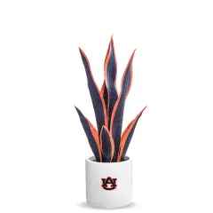Auburn Snake Plant, University of Auburn Faux Snake Plant, Auburn Gifts for Men, Auburn Gifts for Women, Auburn Gifts - Auburn Tigers Decorations, Desk Sets and Accessories for Women