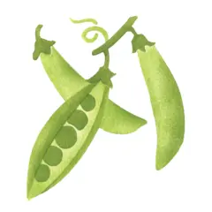 Sweet Pea Craft Stencil | 1257R by Designer Stencils | Reusable Art Craft Stencils for Painting on Walls, Canvas, Wood | Reusable Plastic Paint Stencil for Home Makeover | Easy to Use & Clean Art Stencil