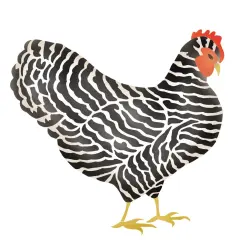 Zebra Chicken Wall Stencil | 2509 by Designer Stencils | Animal & Nature Stencils |