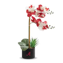 Alabama Orchid Plant - University of Alabama Faux Orchid Plant - Alabama Gifts for Men, Alabama Gifts for Women - Alabama Gifts, Crimson Tide Decorations - Office Accessories for Men