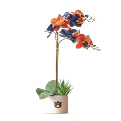 Auburn Orchid Plant, University of Auburn Faux Orchid Plant, Auburn Gifts for Men, Auburn Gifts for Women, Auburn Gifts - Auburn Tigers Decorations, Desk Sets and Accessories for Women