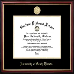 South Florida University Bulls Petite Diploma Frame