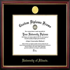 University of Illinois Petite Diploma Frame