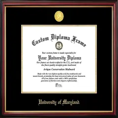 University of Maryland Petite Diploma Frame