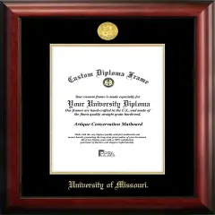 University of Missouri 8.5w x 11h Gold Embossed Diploma Frame