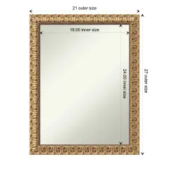 Amanti Art Non-Beveled Wood Wall Mirror, Florentine Gold Frame