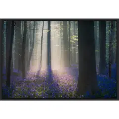 Velvet Light by Adrian Popan 23-in. W x 16-in. H. Canvas Wall Art Print Framed in Black