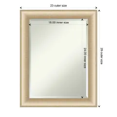 Beveled Bathroom Wall Mirror, Elegant Brushed Frame