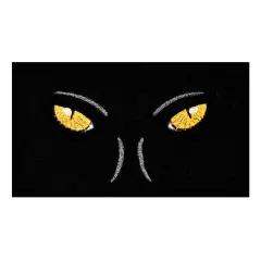 106361729 Watching You Doormat