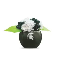 MSU Hydrangea Plant, MSU Faux Hydrangea Plant, MSU Gifts for Men, MSU Gifts for Women, MSU Gifts, Spartan Decorations, MSU Man Cave Decor, Office Accessories for Men, Desk Accessories for Women