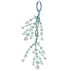 Hanging Thyme with Bow Wall Stencil | 2199 by Designer Stencils | Floral Stencils | Reusable Art Craft Stencils for Painting on Walls, Canvas, Wood | Reusable Plastic Paint Stencil for Home Makeover | Easy to Use & Clean Art Stencil