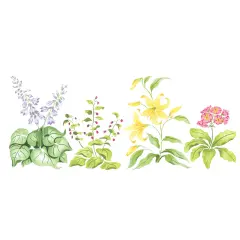 Smaller Hosta Mix Wall Stencil | 1900 by Designer Stencils | Floral Stencils | Reusable Art Craft Stencils for Painting on Walls, Canvas, Wood | Reusable Plastic Paint Stencil for Home Makeover | Easy to Use & Clean Art Stencil