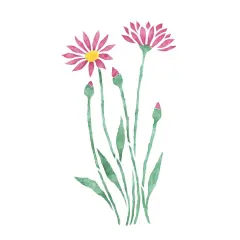 Immortelle Flower Wall Stencil | 2057 by Designer Stencils | Reusable Art Craft Stencils for Painting on Walls, Canvas, Wood |