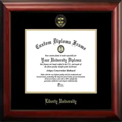 Liberty University 11w x 8.5h Gold Embossed Diploma Frame