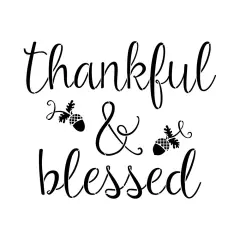 Thankful & Blessed Embossing 12 x 12 Stencil | FS097 by Designer Stencils | Word & Phrase Stencils | Reusable Stencils for Painting on Wood, Wall, Tile, Canvas, Paper, Fabric, Furniture, Floor | Reusable Stencil for Home Makeover