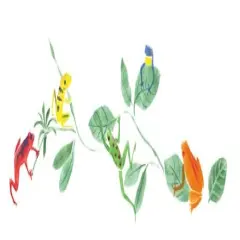 Tree Frogs Wall Stencil | 2103 by Designer Stencils | Animal & Nature Stencils | Reusable Art Craft Stencils for Painting on Walls, Canvas, Wood | Reusable Plastic Paint Stencil for Home Makeover | Easy to Use & Clean Art Stencil