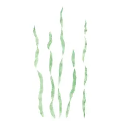 Seaweed Wall Stencil | 2365 by Designer Stencils | Outdoor Stencils | Reusable Art Craft Stencils for Painting on Walls, Canvas, Wood | Reusable Plastic Paint Stencil for Home Makeover | Easy to Use & Clean Art Stencil