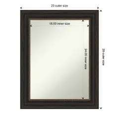 Amanti Art Non-Beveled Wall Mirror, Accent Bronze Frame