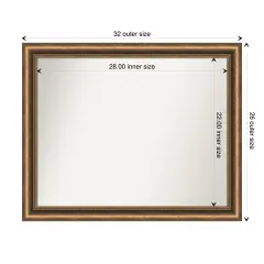 Amanti Art Non-Beveled Wood Wall Mirror, Manhattan Bronze Narrow Frame