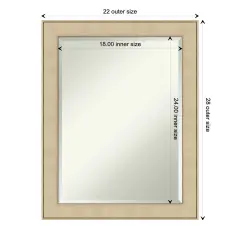 Beveled Bathroom Wall Mirror, Classic Honey Silver Frame