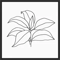 Foliage Contour III by Annie Warren 16-in. W x 16-in. H. Canvas Wall Art Print Framed in Black