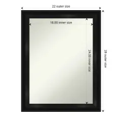 Amanti Art Non-Beveled Wall Mirror, Grand Black Narrow Frame