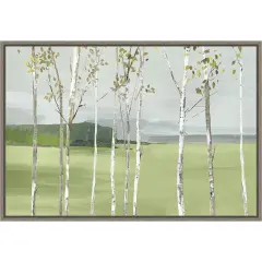 Birch Valley (Trees) by Allison Pearce 23-in. W x 16-in. H. Canvas Wall Art Print Framed in Grey