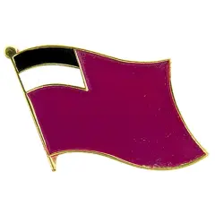 Country of Georgia Flag Pin 1"
