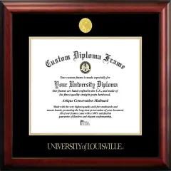 University of Louisville 17w x 14h Gold Embossed Diploma Frame